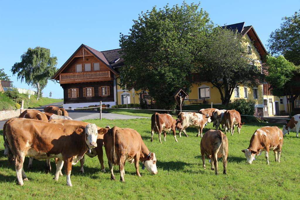 Wiesenbauer - Schlogl Anton Villa Grafendorf bei Hartberg Exterior foto