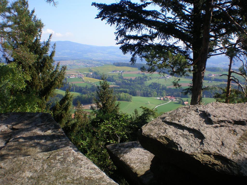 Wiesenbauer - Schlogl Anton Villa Grafendorf bei Hartberg Exterior foto
